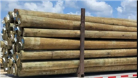 Wooden Utility Poles