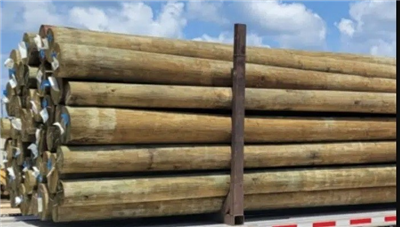 Wooden Utility Poles